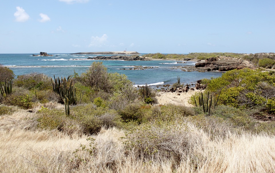 Les plus beaux jardins et for&ecirc;t de Martinique