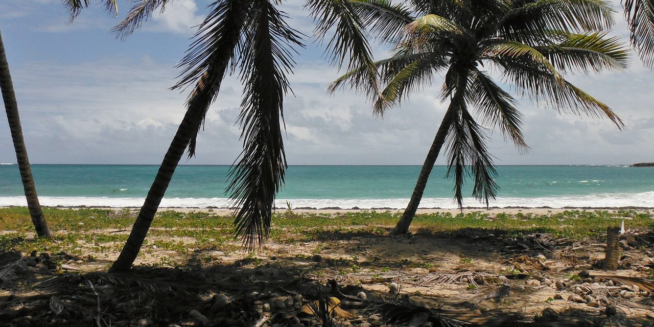 Tourisme vert en Martinique