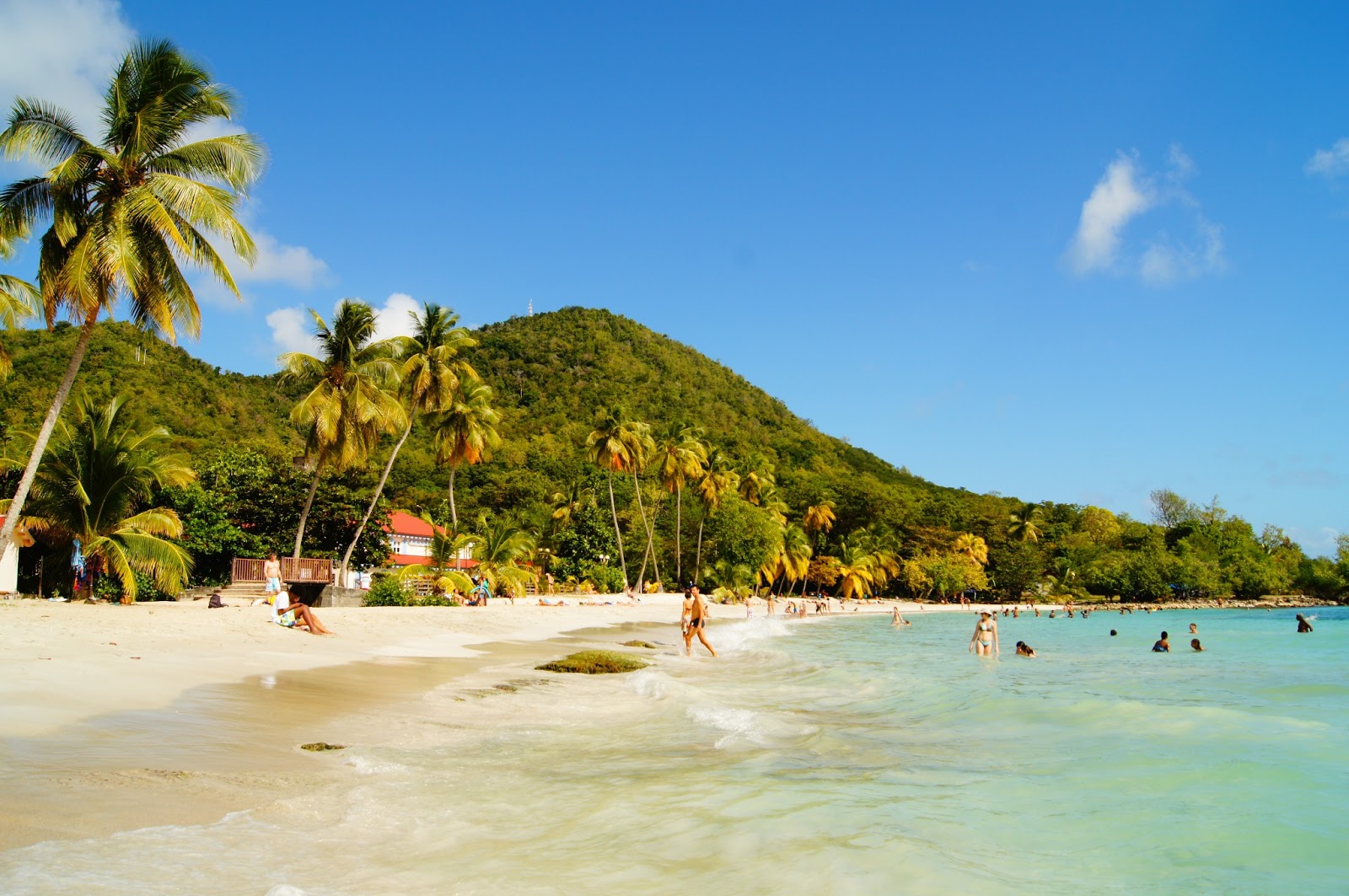 plage de Martinique
