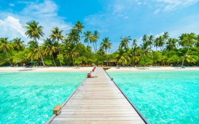Est-il possible de louer une île tropicale pour jouer à Robinson Crusoe ?