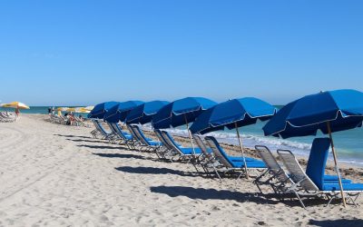 La meilleure période pour visiter la Floride : Avantages et inconvénients de chaque saison