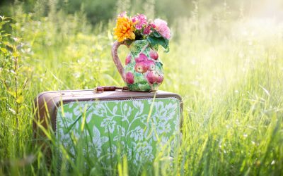 Pourquoi vous devriez acheter une valise plus légère ?