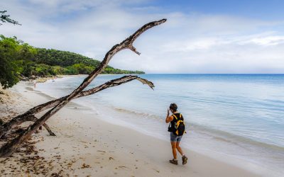 Quelles randonnées faire en bord de mer en Guadeloupe ?