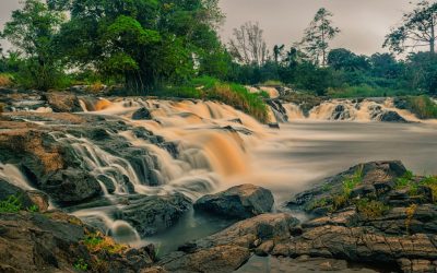 Quelles sont les raisons de voyager au Cameroun ?