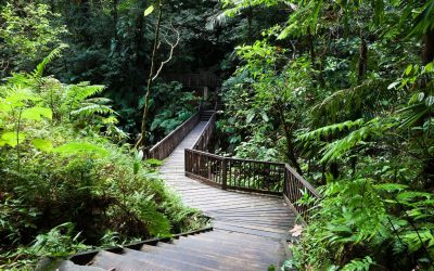 Excursions en Guadeloupe : Les 4 immanquables