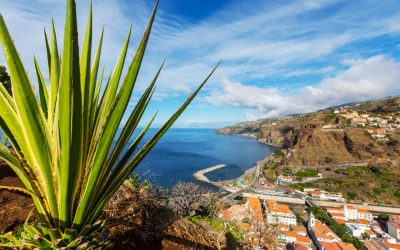 Madère ou les Canaries : comment choisir ?