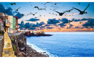 Vivre aux Canaries : nos conseils !