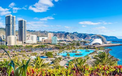 Circuit aux Canaries : Découvrez leur diversité !