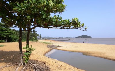 Top 10 des lieux à visiter en Guyane