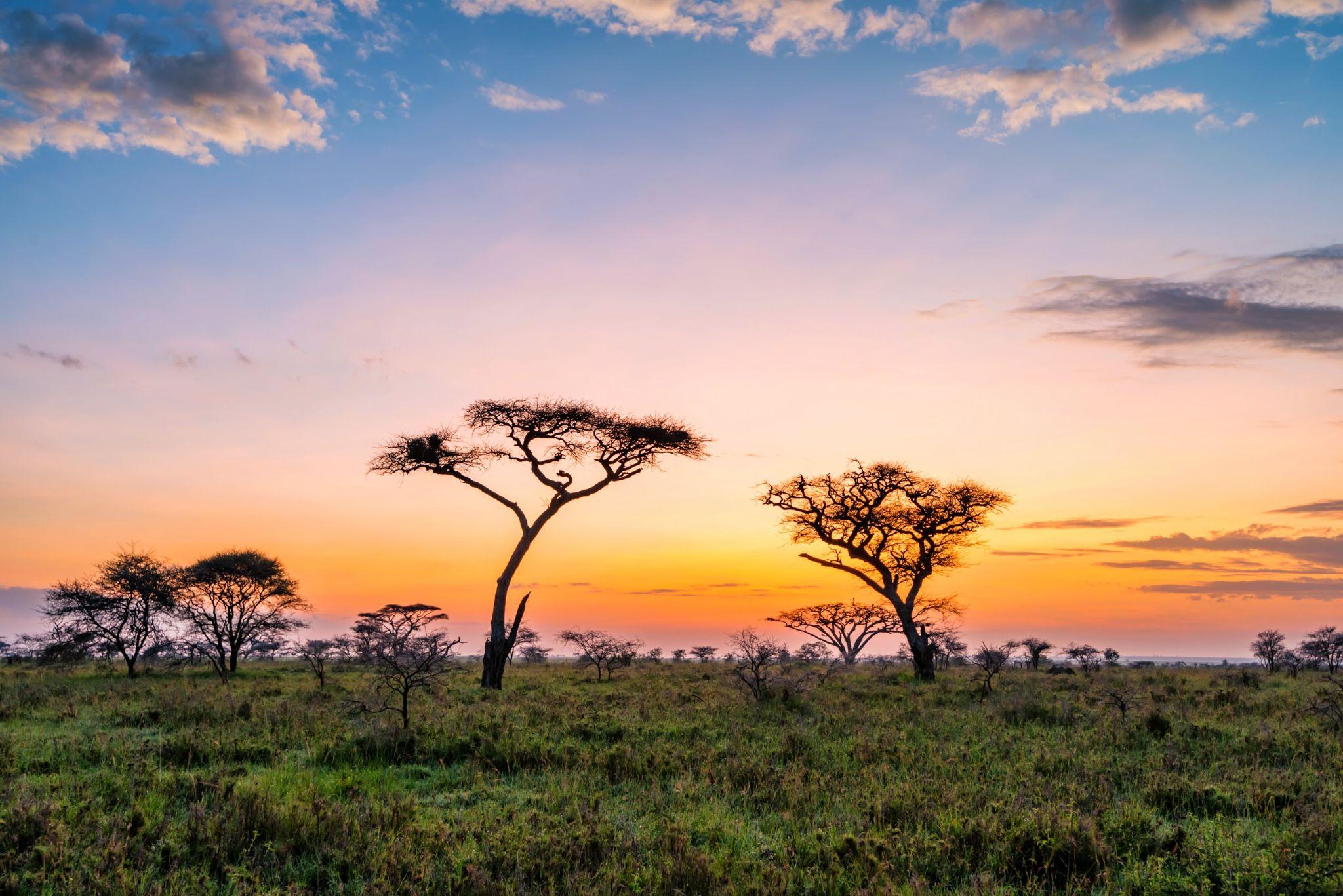 La Tanzanie, ses parcs et ses îles