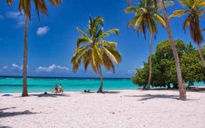 Pourquoi louer une voiture est indispensable pour visiter la Guadeloupe